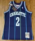Larry Johnson Charlotte Hornets Mitchell & Ness Hardwood Swingman Jersey Large