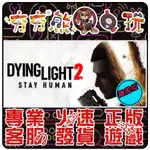 【夯夯熊電玩】 PC 垂死之光2 終極版 垂死之光 白金版 DYING LIGHT STEAM版(離線版)