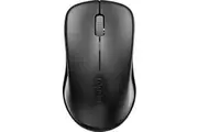 Rapoo Wireless Mouse