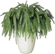 SAREAL 24 Pcs Norfolk Pine Branches, Real Touch Artificial Christmas Greenery Picks for Wreath Craft DIY Home Decor