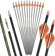 [wolfman] 31" Pure Carbon Arrows Archery Practice Hunting Arrows Spine 300 350 400 500 600 with Removable Tips Targeting Arrows for Compound & Recurve & Long Bow 6/12Pack (Orange-6pcs, Spine 600)