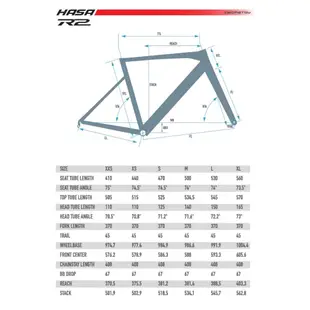 🚲廷捷單車🚲 HASA R2 輕量化鋁合金公路車 框煞 SHIMANO Tiagra 2x10/CAMPANOLO 22