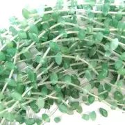 9mm faceted green aventurine marquise beads 14.5" strand