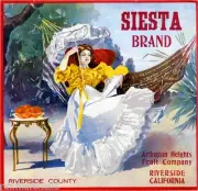 Riverside Arlington Heights Siesta Orange Citrus Fruit Crate Label Art Print