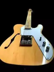 NEW 12 STRING THINLINE TELE STYLE SEMI-HOLLOW ELECTRIC GUITAR