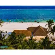 Mambo Paradise