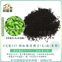 在飛比找蝦皮購物優惠-大包裝K39.胡椒薄荷種子1克(約1萬顆) 葉片帶有胡椒香氣