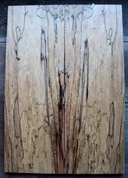 Figured spalted ink line rock maple drop top .39" thk guitar bass tonewood 2315