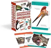 Our World in Pictures Dinosaurs and Other Prehistoric Creatures Flash Cards