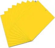 Vegena Yellow Sticker Fungus Gnats 40 Pieces, Sticky Insect Traps, Double-Sided Fly Catcher Stickers for White Flies, Aphids, Leaf Miner, Moths Other Insects, 15 cm x 20 cm