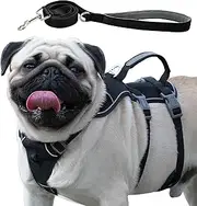 Wuffley Escape Proof Dog Harness and Leash Set, Lightweight Dog Harness with Lift and Assist Handle, No Pull Reflective Pet Vest for Small Medium Dogs, Ideal for Puppy Walking and Training (Black, S)