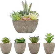 5 Pack Succulent Plant Pot Fake Flowing Succulents Artificial Simulation Pl Sets for Home Kitchen Garden Office Wedding Party Room Decor Multicolor One Size