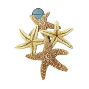 Sugar Starfish Sea Shell Wedding Real Craft 4" - 6" #JC-215 (40 pcs)
