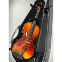 在飛比找蝦皮購物優惠-豐盛樂器-超輕中提琴盒1.6公斤碳纖維盒（下單就送500元購