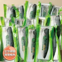 在飛比找鮮拾優惠-【鮮綠生活】挪威薄鹽鯖魚M(毛重170克-200克/片)共1