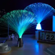 LED Multi Colour Changing Light Fibre Optic Fountain Night Lamp Decor NEW