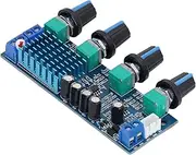 TPA3116D2 High Power Digital Audio Amplifier 2 Channel Board for Home Stereo System