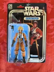 Star Wars Hasbro Black Series Luke Skywalker x-wing pilot Celebration exclusive