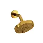 Riobel 366BG-WS 6-Function 6" Showerhead with Arm in BRUSHED GOLD, New!