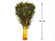 50 Pieces 20-25" Yellow Dyed Natural Long Peacock Tail Eye Feathers Halloween