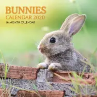 在飛比找博客來優惠-Bunnies Calendar 2020: 16 Mont