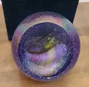 Glass Eye Studio Supernova Paperweight Celestial Series NEW IN BOX