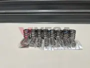 Nismo Double Valve Springs to suit Datsun B110 B210 B310 A12 A14 A15 13203-H2300