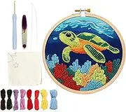 Beginner Needle Kit,Punch Embroidery Kit,Pattern Embroidery Kit | Art Project Tool Set with Fabric Thread for Beginner Needle Instructions for Adults Decor