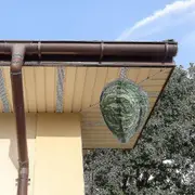 4 Pieces Waterproof Wasp Nest Decoys Hanging Hornet Deterrents Fake Cloth Wasp Nest Non-toxic Bee Decoy Deterrent For Home And Garden Ou Dark green