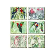 Cinnamon Placemats Cork Backed Set of 6 Australian Parrots