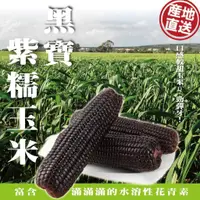 在飛比找蝦皮商城優惠-黑寶紫糯米玉米【果農直配】全省免運