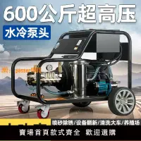 在飛比找樂天市場購物網優惠-【台灣公司保固】600公斤超高壓清洗機意大利AR泵清洗除銹除