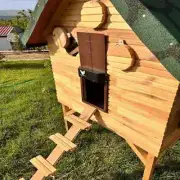 Automatic Chicken Coop Door Chicken House Door Light Sensor Farm Chicken Opener