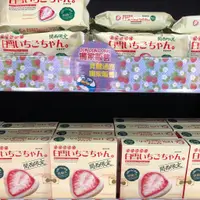 在飛比找蝦皮購物優惠-🇯🇵 日本 關西限定 白雪巧克力草莓 60g / 120g 