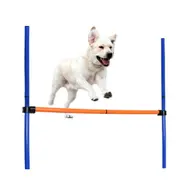 Dogs Outdoors Agile Pole Jump Equipment