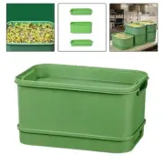 Seed Sprouts Tray Multifunctional Seed Sprouting Kit for Kitchen Pea Peanut