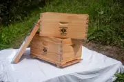 10 Frame Beehive wax-dip ASSEMBLED - 2 box Brood/Super/Lid/Base