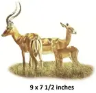 Impala Herd Wall Decal African Antelope Deer Vinyl Sticker Peel Stick Art Decor