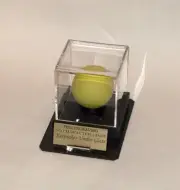 Lacrosse Ball Personalized Acrylic Display Case Octagon, Custom Nameplate Stand