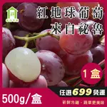 【每日宅鮮】任選$699免運｜祕魯紅地球葡萄 500G／±5%盒 X1盒｜50年水果蔬果專家