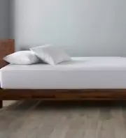 ELLA JAYNE Allergy -Free Dust Mite Free Mattress Protector - King $79