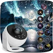 Planetarium Projector for Bedroom, 13 in 1 Star Projector Galaxy Light, Ceiling Night Light Milky Way Mood Lighting with Timer, LED Space Galaxy Lamp Bedroom Room Decor for Adults Kids - White