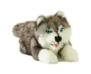 Bocchetta Plush Toys Marbles Husky Puppy Dog