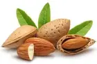 Almond Fragrance Concentrate, 16 oz bottle. Flat rate shipping.