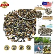 Versatile 20LB Stone Gravel - Irregular Pebbles for Fish Tanks & Gardens
