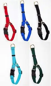 My Poochie's Paradise Deluxe Adjustable Martingale Dog Collar Bulk Packs Rescue Shelter Vet Trainer (XSmall - 10 to 14 inches, 75 Collars)