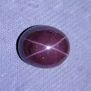 113 Carat 28.8x23.8x14 MM Natural 4-Ray Star Garnet Oval Shape Cabochon Gemstone
