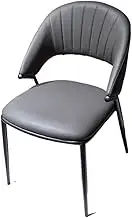 CVBFDB Dining Chair Office Living Room Chairs Indoor Kitchen Home(White-Dinosaur Doodle4)