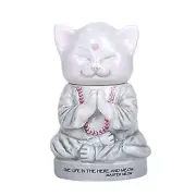 Master Meow Cat Cotton Box