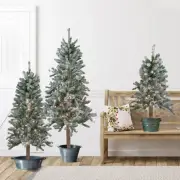 Northlight 3 Flocked Alpine Artificial Christmas Trees 3' 4' 5' - Clear Lights
